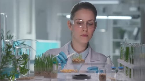 Female Scientist Working with Plants in Lab