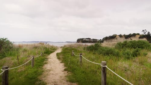 path, high, element, tree, collection, mount, field, ocean, plant, forest, mountains, color, concept