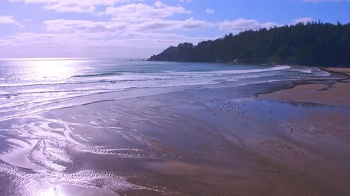 Aerial flying over beach, waves, surfers, seagulls flying, reflections