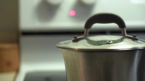 Steaming Pot on a Kitchen Stove Top