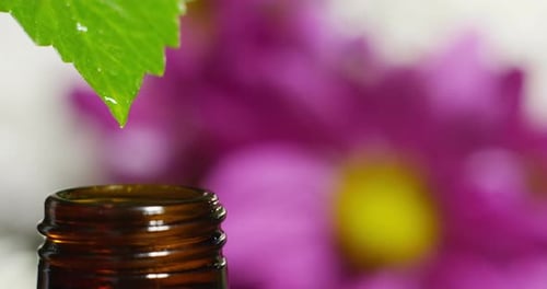 blend of essential oils with water drops, scents and aromas in aromatherapy for wellness and spa.
r