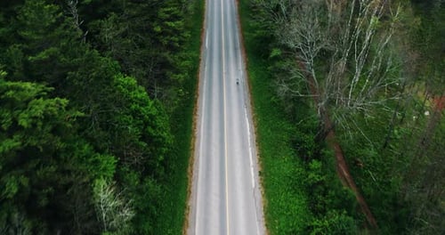 Aerial Top Down View of Car Reveal Driving Down Empty Forest Road Surrounded by Trees Cinematic Dron