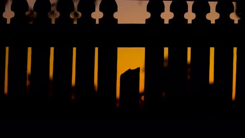 Silhouette of Fence at Colorful Sunset