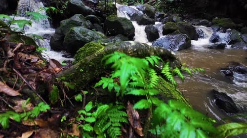 Revealing the water flows over the rocks