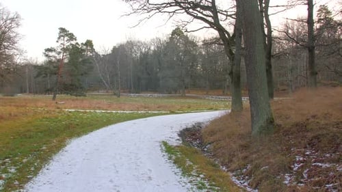 Slow motion shot of the beautiful view of walking path in snow woods with peaceful colors of trees o