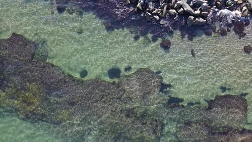 Vista desde una altura sobre el Mar Negro hasta el fondo con aguas cristalinas en un día despejado