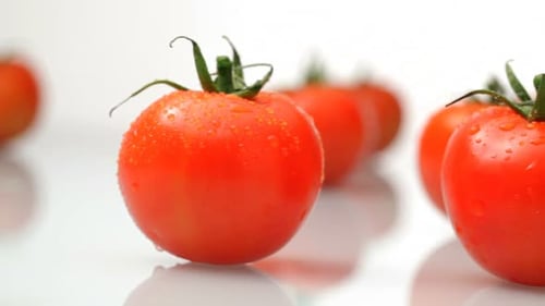 Fresh Tomatoes on White Reflective Surface being Panned Across
