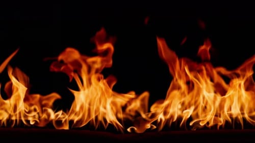 Fire Burning Flame Tongues of Orange Flame Bright Burning Flames on a Black Background Fire in Slow