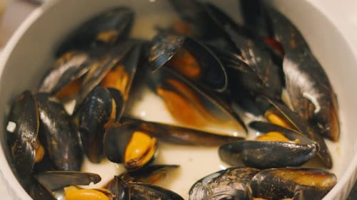 Bowl of Mussels in Shells, Close Up