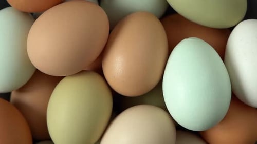 Fresh Raw Chicken Eggs Rotate in Circle Rustic Products Poultry