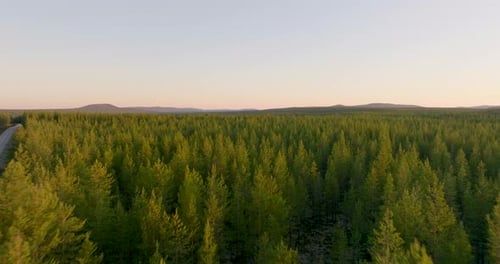 Aerial View Of Lush Green Spruce Forest With Midnight Sky In Lapland, Sweden.