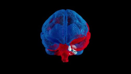 Animated Digital Brain with Particle Mesh and Neural Activity