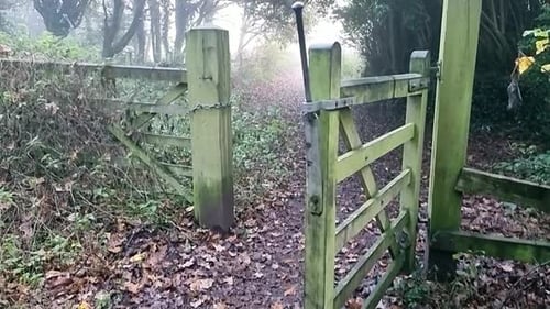 Wooden Gate Entrance to Misty Forest Path, Rural Landscape