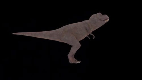 Dinosaurs Walk and Roar
