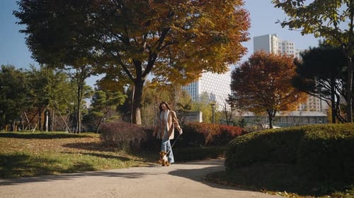 A woman is walking her small dog along a path in a park filled with autumn-colored trees, with tall
