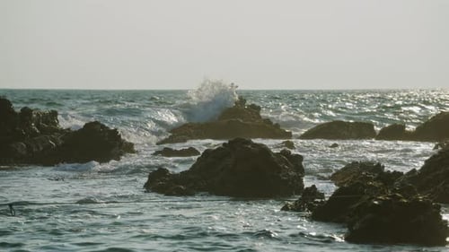 Waves Crash Against Rocks on Beach at Sunset Golden Reflects on Water Nature Tranquil yet Dynamic