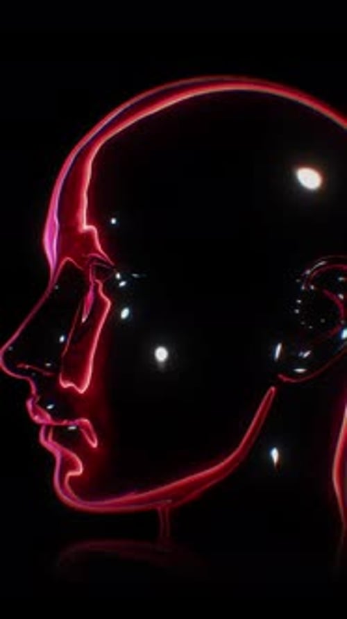 Red Reflective Heads Loop