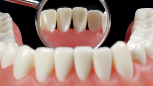 Patient at a Dentist Appointment in a Dental Clinic. View from Inside the Dental Jaw. Tooth Model