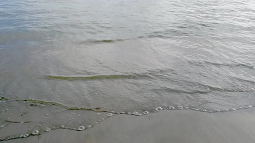 Soft sea waves splashing on a sandy golden-colored beach