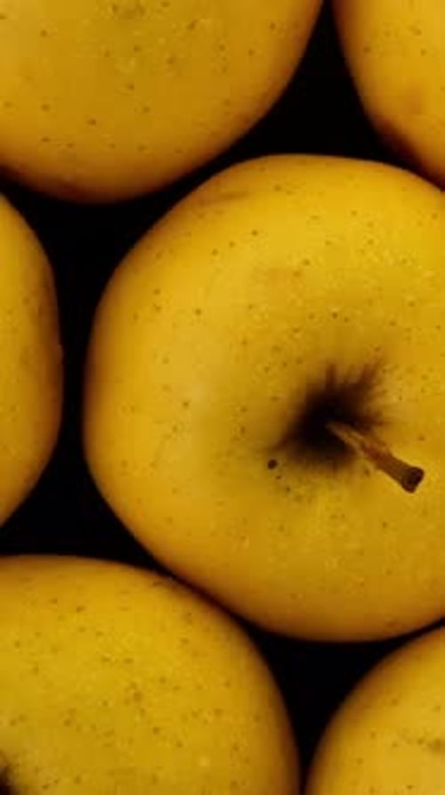 Rohe, frische, reife, gelbe, goldene, köstliche Äpfel als köstliches vegetarisches oder veganes Essen Dolly Shot