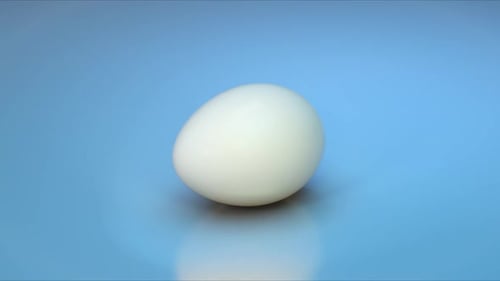 Clean White Egg Loop