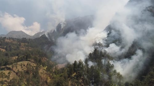 Forest Fire in the Mountains