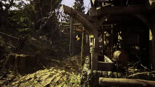 Rustic Cabin in the Wilderness with Sunlit Path and Surrounding Foliage