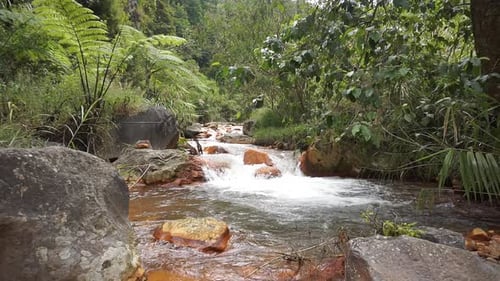 clear river water flowing in the mountains and green trees with a stretch of orange rocks