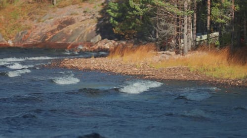 Waves crash onto the rocky shores. Pine trees and withered grass stand on the coastline.