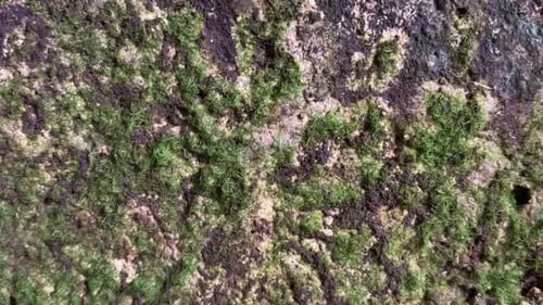 texture abstact wave footage