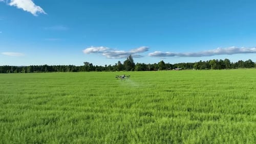 Drone Spraying Crops in Rural Green Field