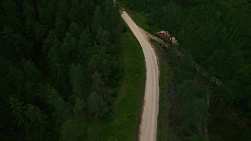 A Drone Films a Winding Road Through a Dense Forest with Lush Greenery and Natural Beauty in a