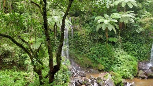 Aerial drone pass over dense rainforest canopy opening to a tropical waterfall,
