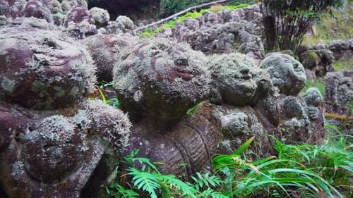 The statues of the Otagi Nenbutsu-ji temple in Kyoto, Japan are unique in form and expression, each
