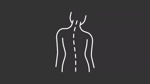 Animated Human Back and Spine Scan Illustration