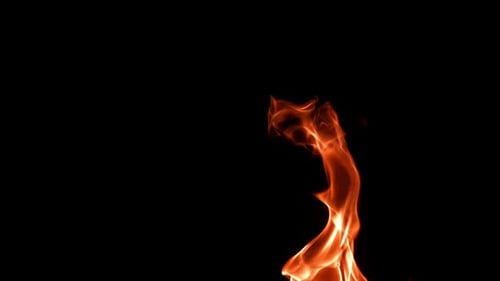 Abstract orange flames flicker on a black background