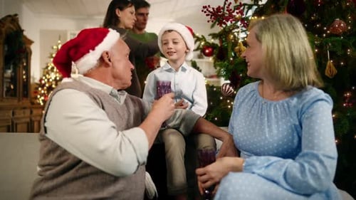 Family Celebrating Christmas at Home, Festive Scene