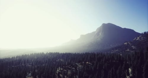 Mountains Rise Above a Forest Under a Bright Sky in the Morning Glow