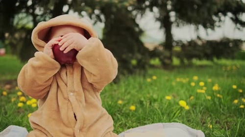 Cute Baby Girl in Plush Suit with Red Apple in Hands Sitting on Blanket in Green Grass