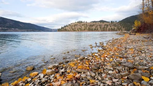Fall Autumn Leaves on Lake Shore, Rocky Pebble Beach. Fall Season Tranquility. 4K Seasonal Landscape