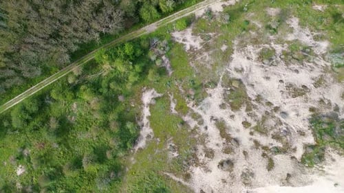 Aerial view of a peaceful landscape with a grassy path cutting through the greenery. Sparse trees
