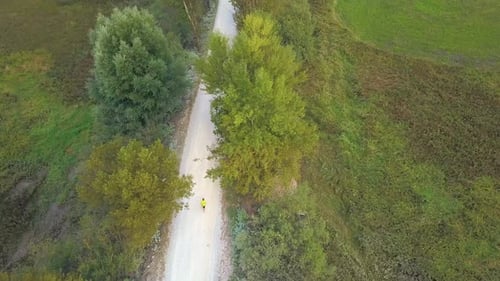 Unknown Person Jogging on Dirt Road Between Trees - Aerial Top Down View