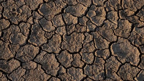 Cracked Earth Texture in Arid Desert Landscape