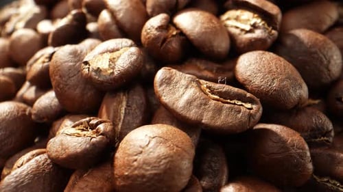 Beautiful coffee beans. Close-up macro video. 4K