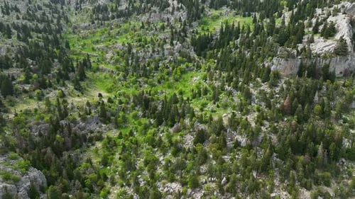Nature's Majesty Aerial Vista of a Majestic Mountain Summit Enveloped in Lush Forest During Early