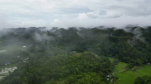 Luftaufnahme des immergrünen, dichten Regenwaldes, geschützt durch leichten Morgennebel, tropischer Regenwald im Nebel