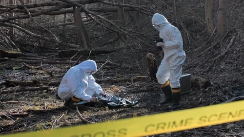 Forensic Specialist Working in the Forest Police Criminalists Collecting Evidence and Making