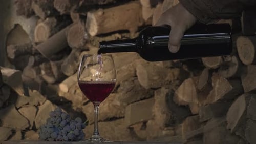 Red wine in glass. Wine tasting and winemaking concept