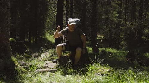Adult Man with Backpack and Hiking Stick Resting on Stone in Green Forest