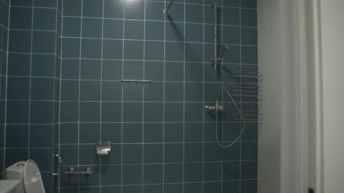 Simple Tiled Bathroom Shower Dolly